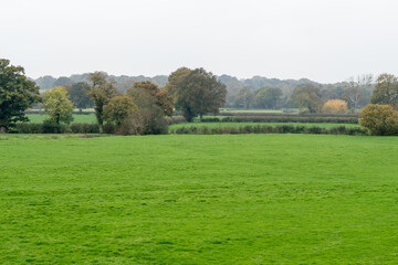 Idyllic Countryside Golfing Scene on a Sunny Day