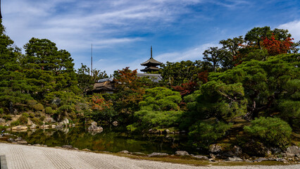 Fototapeta premium 仁和寺