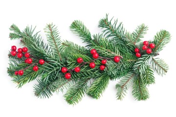 Obraz premium A beautiful branch from a Christmas tree adorned with bright red berries, perfect for holiday decorations or gift wrapping