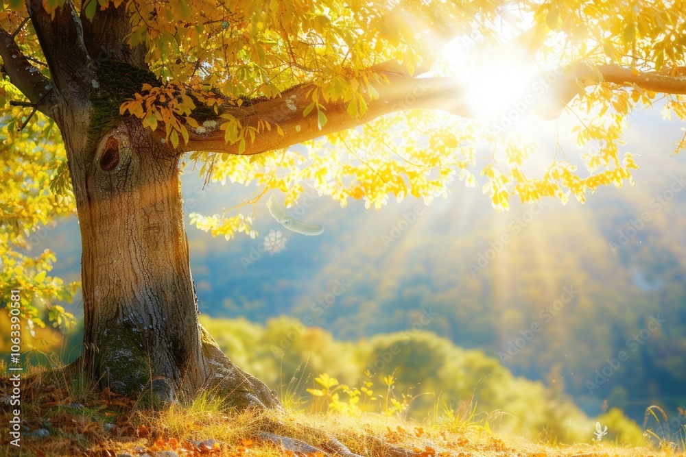 Aufkleber a tree with the sun shining through its leaves, creating a warm and cozy atmosphere