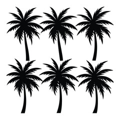 Fototapeta premium Set of Palm Trees Silhouettes Vector – Tropical Nature Illustration