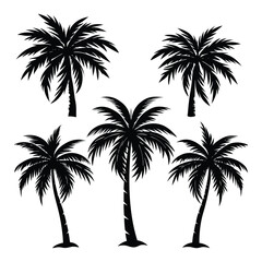 Set of Palm Trees Silhouettes Vector – Tropical Nature Illustration