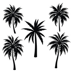 Obraz premium Set of Palm Trees Silhouettes Vector – Tropical Nature Illustration