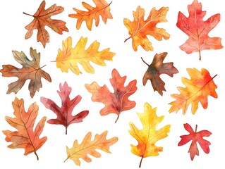Obraz premium Vibrant Watercolor Oak Leaves in Autumnal Hues Scattered on a White Background Evoking the Beauty of Fall Season