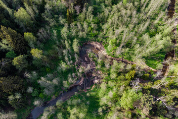 Borinka River flowing surrounded by forest, aerial view. Borovsk district, Kaluga region, Russia