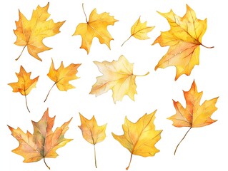 Fototapeta premium Whimsical Watercolor Sycamore Leaves in Soft Autumn Hues on White Background