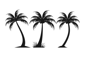 Black vector single palm tree icon template