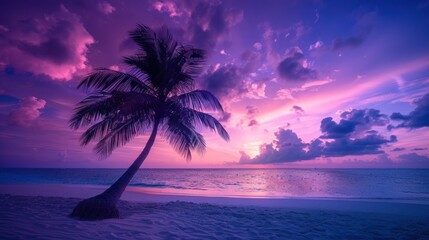A palm tree rests on a sandy beach beneath a vibrant mix of purple and blue skies, as the sun slowly descends