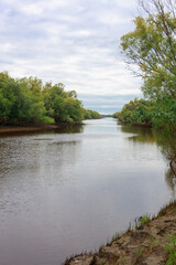 Fototapeta premium the river, a tributary of the Ob