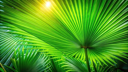 Fototapeta premium fresh tropical background of deep green palm tree leaves from a low angle view