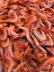 Rote Garnelen (Gambas rojas) auf dem Markt in Palamós