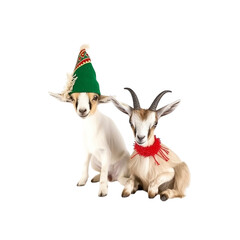 Two goats wearing festive hats and a scarf, isolated on white background
