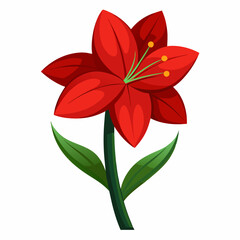 Amaryllis flower vector illustration on a white background
