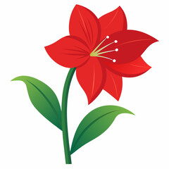 Amaryllis flower vector illustration on a white background