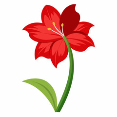 Amaryllis flower vector illustration on a white background