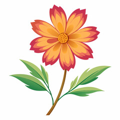 Coreopsis flower on a white background