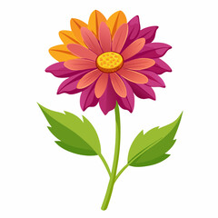 Coreopsis flower on a white background