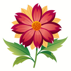 Coreopsis flower on a white background