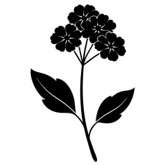 Verbena flower silhouette vector illustration