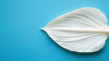 Explore the intricate details of a macro shot of a daffodil petal in high clarity under sunlight