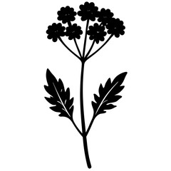 Obraz premium yarrow flower silhouette vector illustration