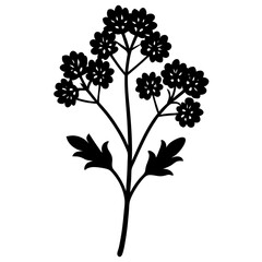 yarrow flower silhouette vector illustration