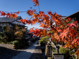 秋色の馬籠宿