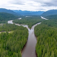 Fototapeta premium Aerial view of a winding river surrounded by lush green forests and mountains.