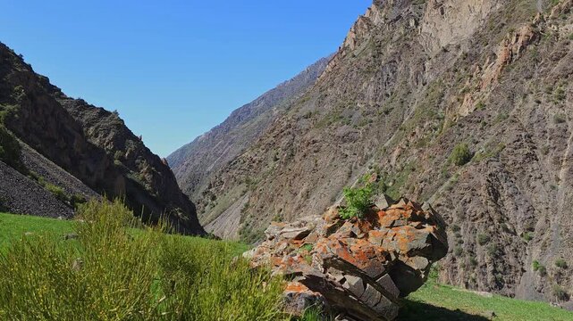 large mountain in font of green grass hill with Ephedra bush at windy sunny summer day and blue sky background