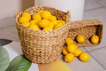 Ripe lemons in the wicker basket.