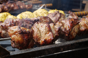 Kebabs on skewers are grilled on hot coals