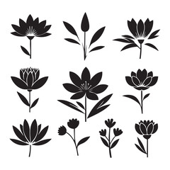 Fototapeta premium Silhouette set of flower on white background