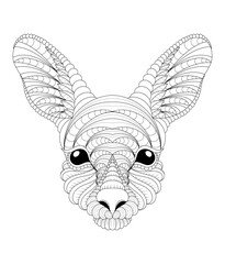 Vector illustration of black and white kangaroo portrait image. Drawn in zentangle style for t-shirt design or tattoo. anti stress coloring page with wildlife. Anti stress coloring page with kangaroo,