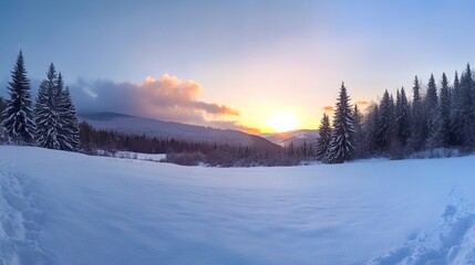 Fototapeta premium A snow covered field with trees in the background at sunset