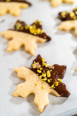 Making Holiday Star Cookies, Chocolate-Dipped with Pistachio Topping