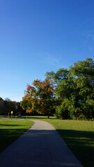 Autumn Trees Along a Park Path Under a Clear Blue Sky