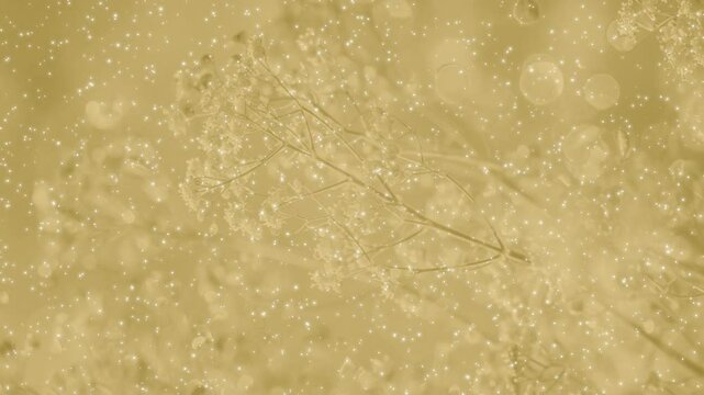 桜の枝 春 パーティクルBG209_ 04