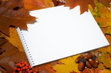 Spiral Notebook on Autumn Leaves Background