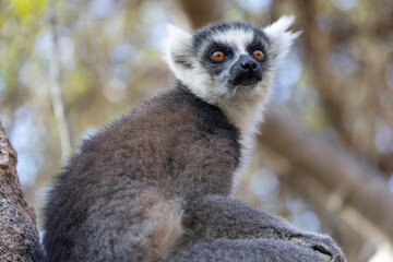 Anja Community Reserve
