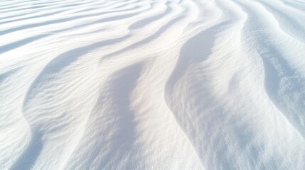 Vast snow-covered tundra stretching far, wind-rippled snow surface.