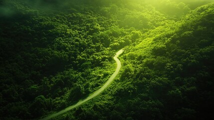Aerial view captures the beauty of a country road winding through a lush green forest, illuminated by sunlight, perfect for countryside travel themes with ample copy space.