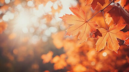 Fototapeta premium Stunning fall foliage landscape with vibrant orange leaves creates a breathtaking scene, perfect for capturing the essence of autumn in a beautifully composed shot with ample copy space.