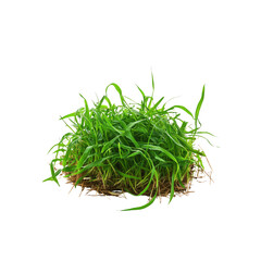 Lush Green Grass Patch Isolated on White Background