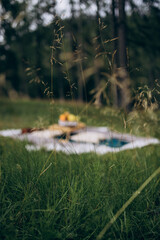 camping in the middle of nature