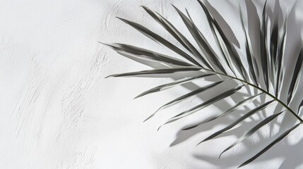 Obraz premium A minimalist design featuring a textured white ground,