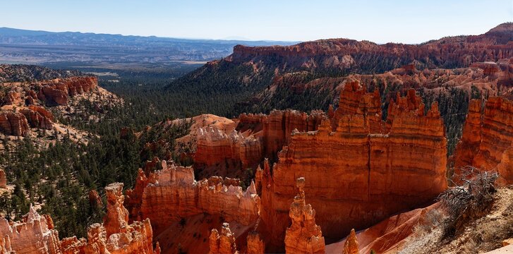 Brice Canyon, Utah, USA National Park panoramic view
