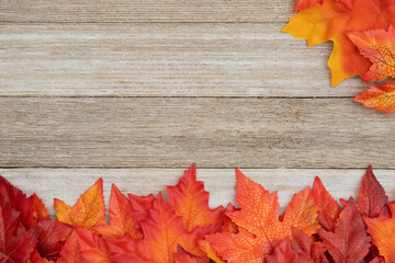Obraz premium Fall leaves on weathered wood autumn background