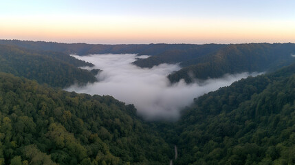 Foggy Mountain Valley at Sunrise, dawn, mist, clouds, forest, trees
