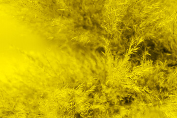Middle Yellow Noise and Static Abstract Background for Modern Designs