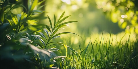 Obraz premium Environmental awareness highlighted against a backdrop of lush, ambient plants. A close up view showcases the vibrant health of the grass, emphasizing ecological consciousness.